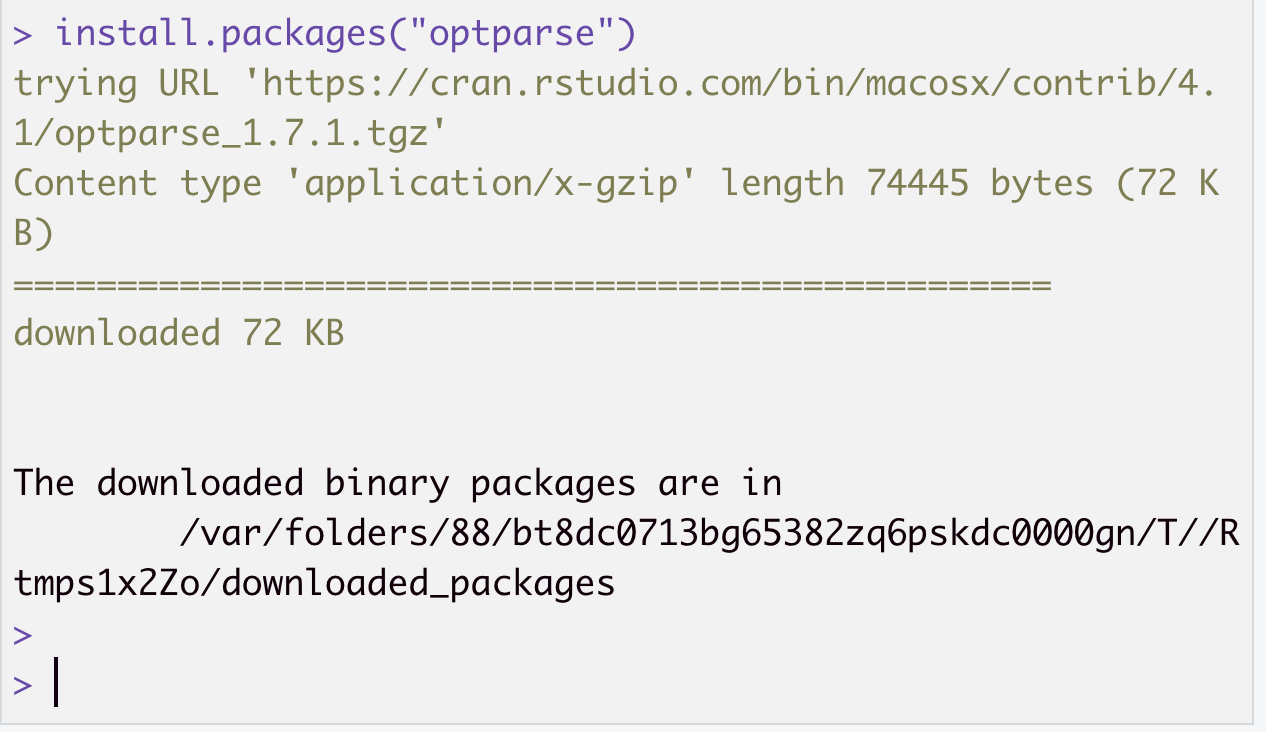 Shows the process and output for installing the optparse package