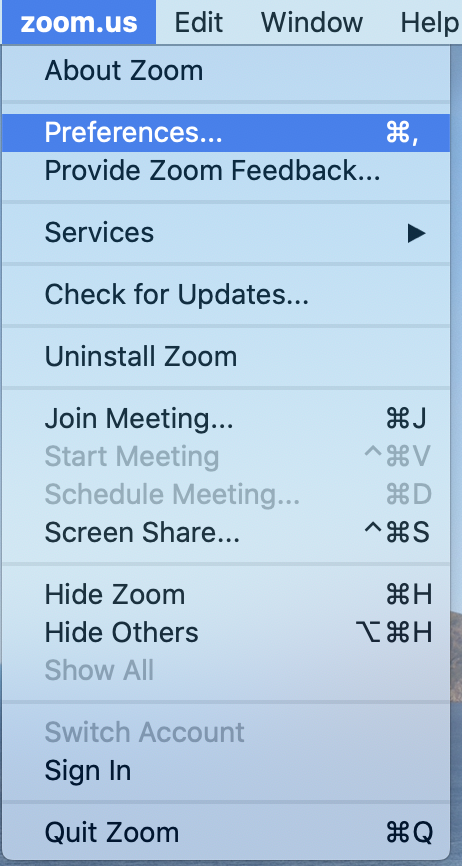 Zoom preferences menu