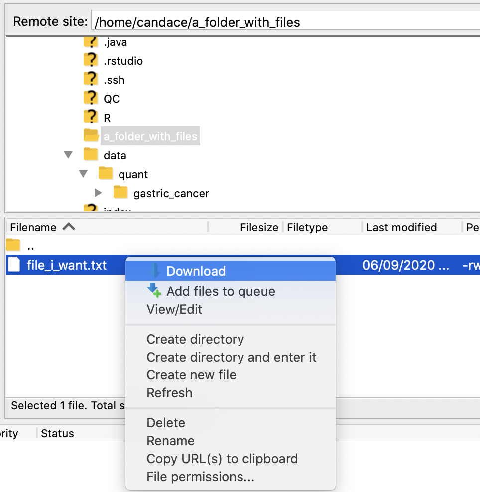 Download a file in FileZilla