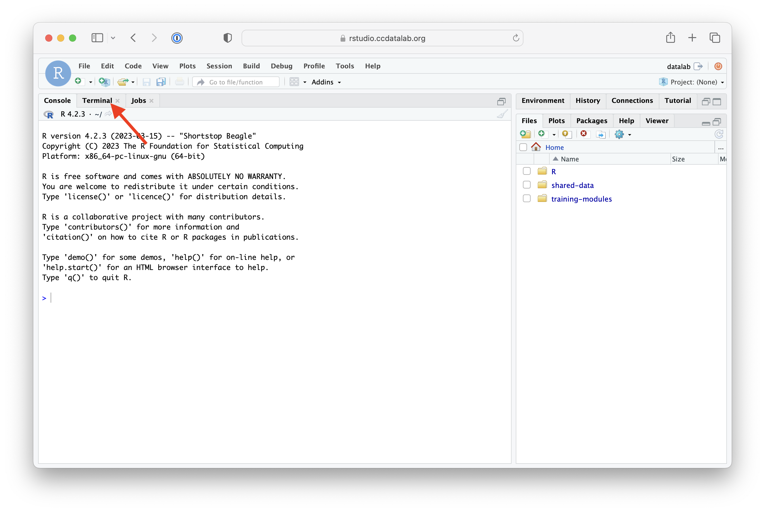 RStudio location of terminal tab